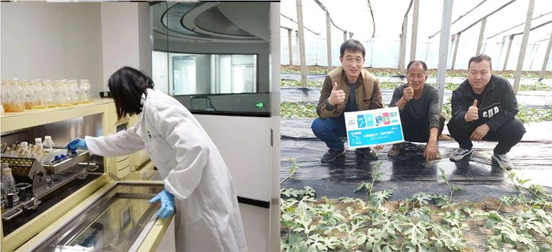 打造新朝陽(yáng)生物科技“五張名片”，服務(wù)農(nóng)業(yè)高質(zhì)量發(fā)展！