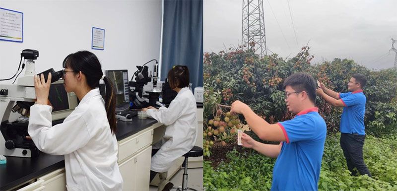 打造新朝陽(yáng)生物科技“五張名片”，服務(wù)農(nóng)業(yè)高質(zhì)量發(fā)展！