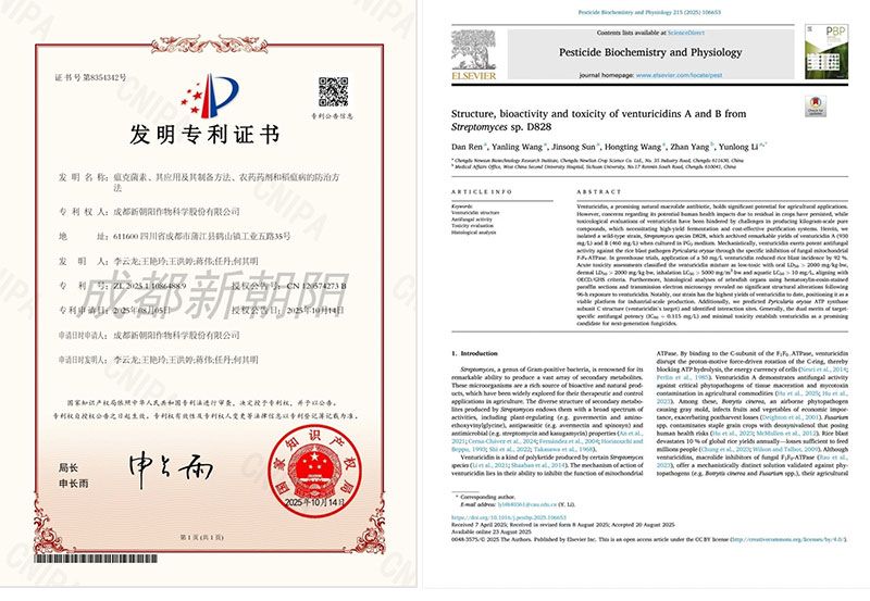 新突破｜新朝陽在生物技術防治稻瘟病研究方面取得新進展