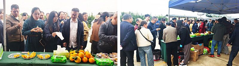 新朝陽生物技術助力綠色防控，推動柑橘產業綠色高質量發展