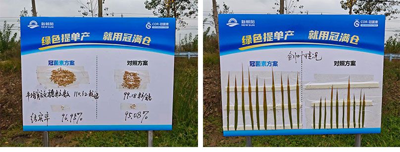 成都新朝陽COR冠菌素入選“2025中國農業重大新產品”